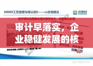 审计早落实，企业稳健发展的核心保障之道