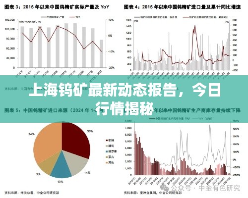 上海钨矿最新动态报告，今日行情揭秘