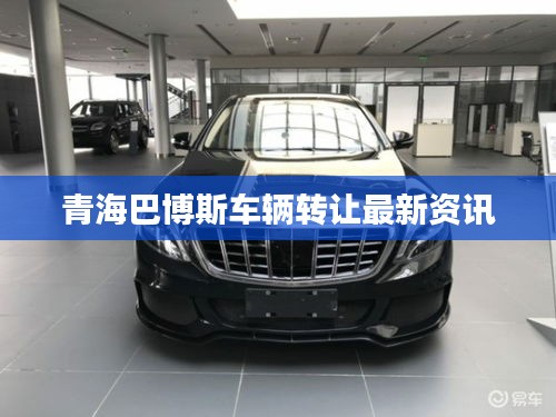 青海巴博斯车辆转让最新资讯