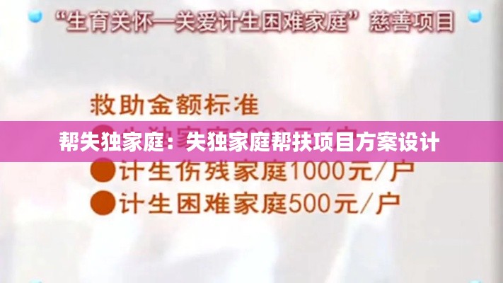 帮失独家庭：失独家庭帮扶项目方案设计 