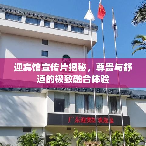 迎宾馆宣传片揭秘，尊贵与舒适的极致融合体验