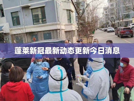 蓬莱新冠最新动态更新今日消息