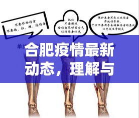 合肥疫情最新动态，理解与应对突发状况全攻略