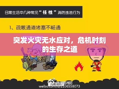 突发火灾无水应对，危机时刻的生存之道
