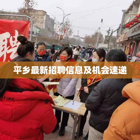 平乡最新招聘信息及机会速递