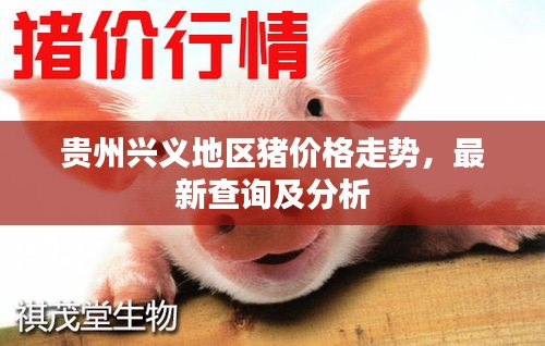 贵州兴义地区猪价格走势，最新查询及分析