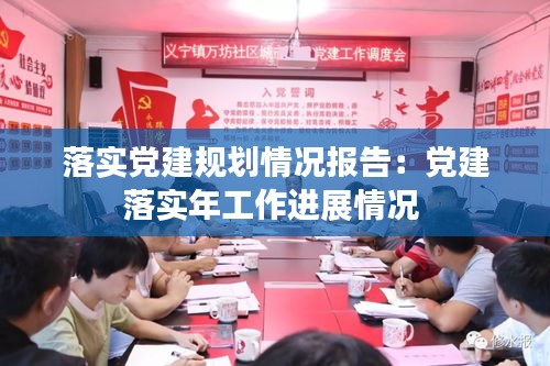 落实党建规划情况报告：党建落实年工作进展情况 