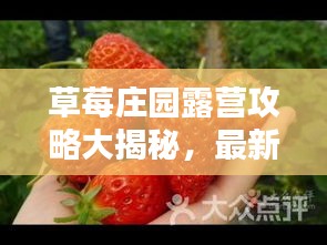 草莓庄园露营攻略大揭秘，最新指南助你轻松玩转露营体验