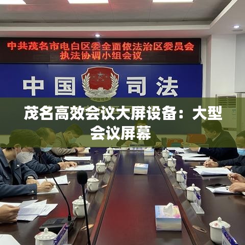 茂名高效会议大屏设备：大型会议屏幕 