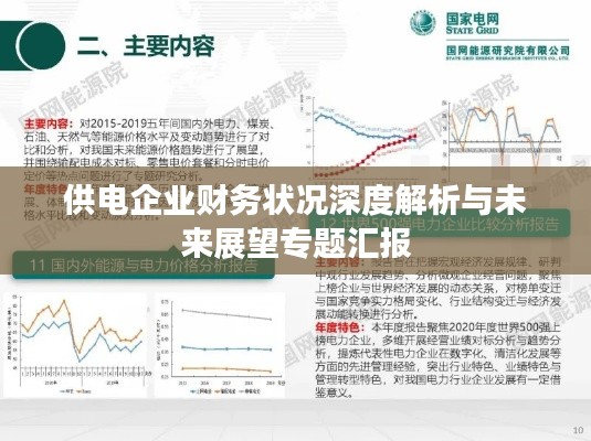 供电企业财务状况深度解析与未来展望专题汇报
