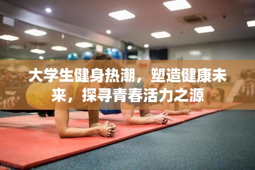 大学生健身热潮，塑造健康未来，探寻青春活力之源