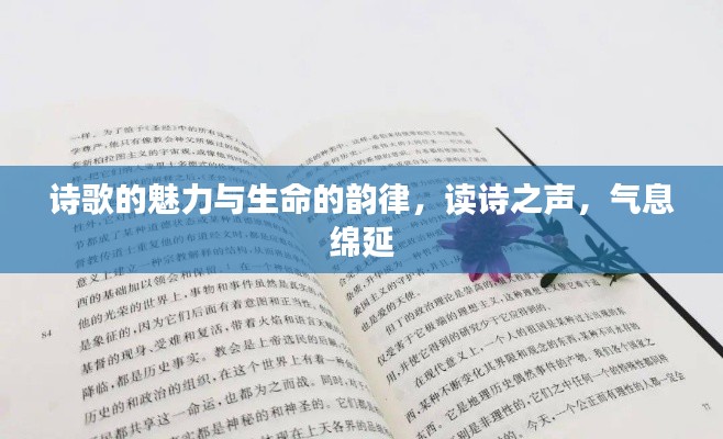 诗歌的魅力与生命的韵律，读诗之声，气息绵延