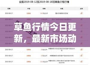 行百里者半九十 第2页