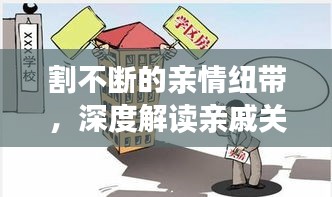 割不断的亲情纽带，深度解读亲戚关系的重要性