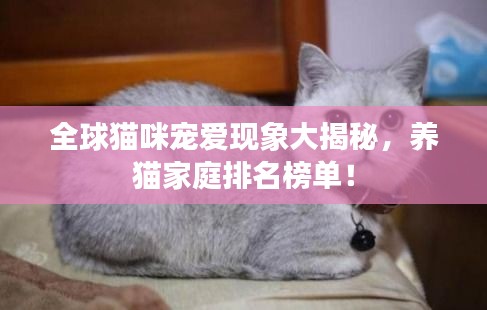 全球猫咪宠爱现象大揭秘，养猫家庭排名榜单！