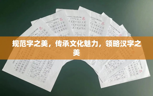 规范字之美，传承文化魅力，领略汉字之美