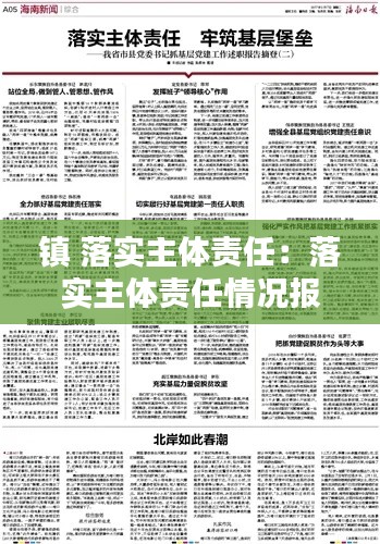 镇 落实主体责任：落实主体责任情况报告2019 