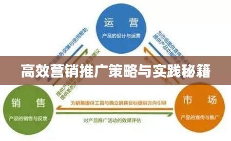 高效营销推广策略与实践秘籍