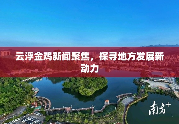 云浮金鸡新闻聚焦，探寻地方发展新动力