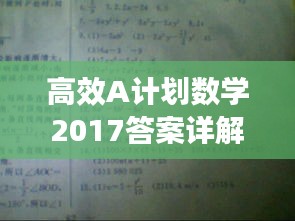 高效A计划数学2017答案详解及解析指南
