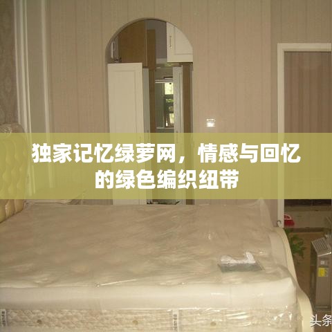 独家记忆绿萝网，情感与回忆的绿色编织纽带