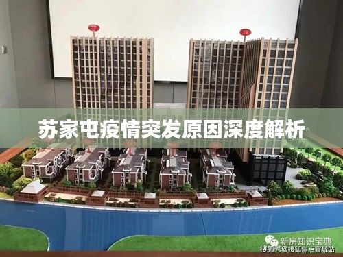 苏家屯疫情突发原因深度解析