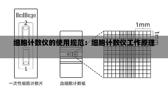 细胞计数仪的使用规范：细胞计数仪工作原理 