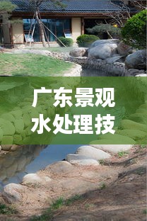 广东景观水处理技术规范：景观用水处理要求 