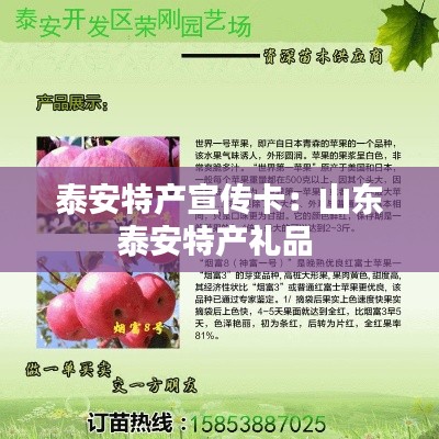 泰安特产宣传卡：山东泰安特产礼品 