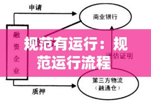 规范有运行：规范运行流程 