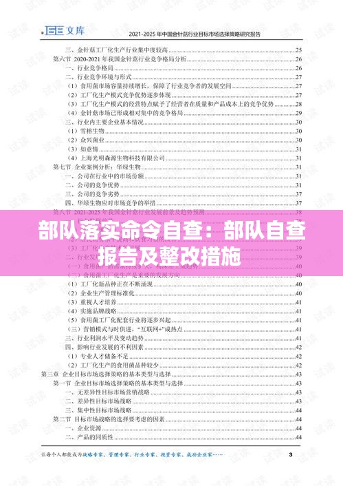 部队落实命令自查：部队自查报告及整改措施 