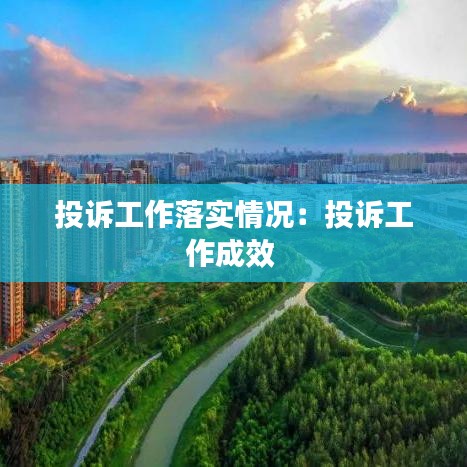 投诉工作落实情况：投诉工作成效 