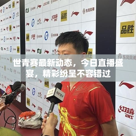 世青赛最新动态，今日直播盛宴，精彩纷呈不容错过