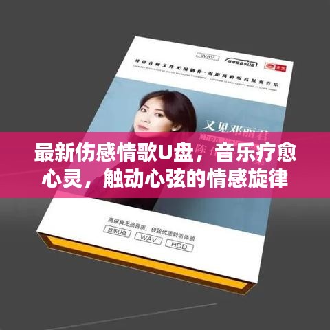 最新伤感情歌U盘，音乐疗愈心灵，触动心弦的情感旋律