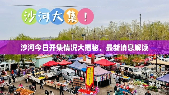 沙河今日开集情况大揭秘，最新消息解读