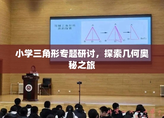 小学三角形专题研讨，探索几何奥秘之旅