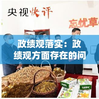 政绩观落实：政绩观方面存在的问题 