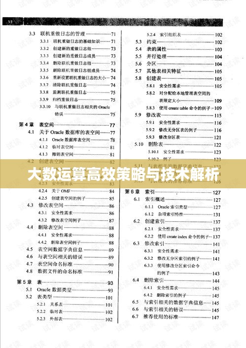 大数运算高效策略与技术解析