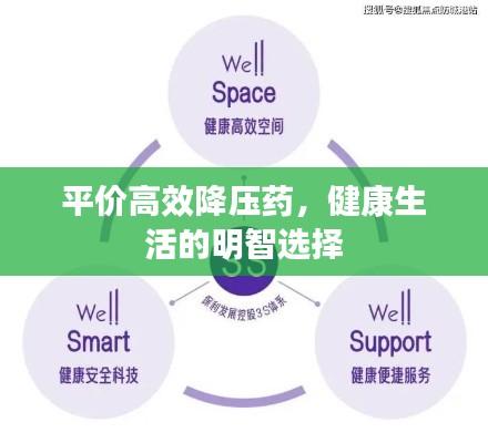 平价高效降压药，健康生活的明智选择