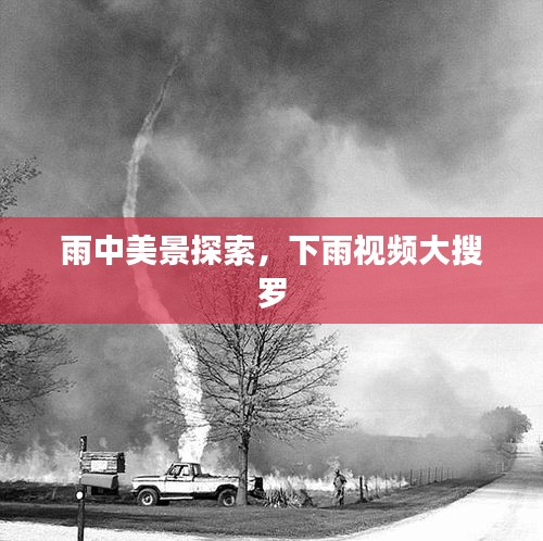 雨中美景探索，下雨视频大搜罗