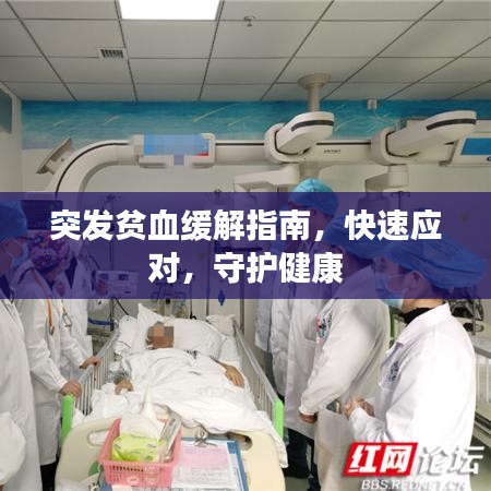 突发贫血缓解指南，快速应对，守护健康
