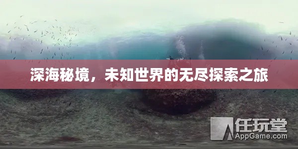 深海秘境，未知世界的无尽探索之旅
