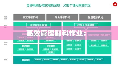 高效管理副科作业： 