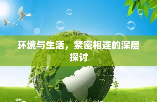环境与生活，紧密相连的深层探讨