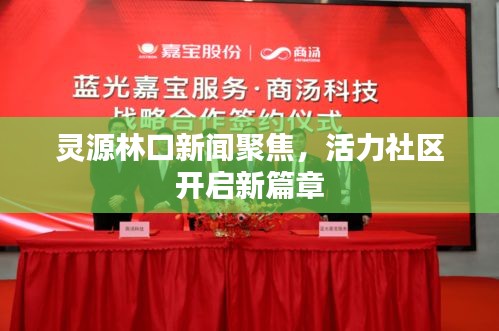 灵源林口新闻聚焦，活力社区开启新篇章