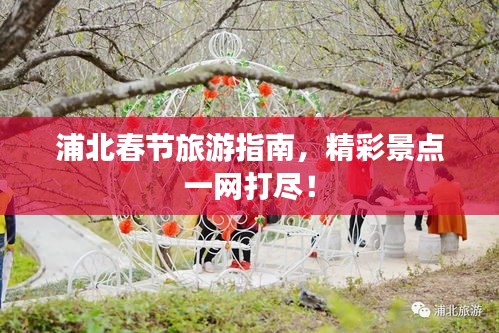 浦北春节旅游指南，精彩景点一网打尽！