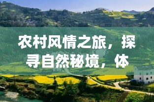 农村风情之旅，探寻自然秘境，体验乡村魅力