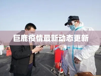 巨鹿疫情最新动态更新