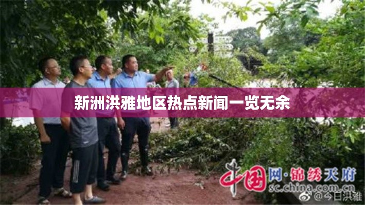 新洲洪雅地区热点新闻一览无余