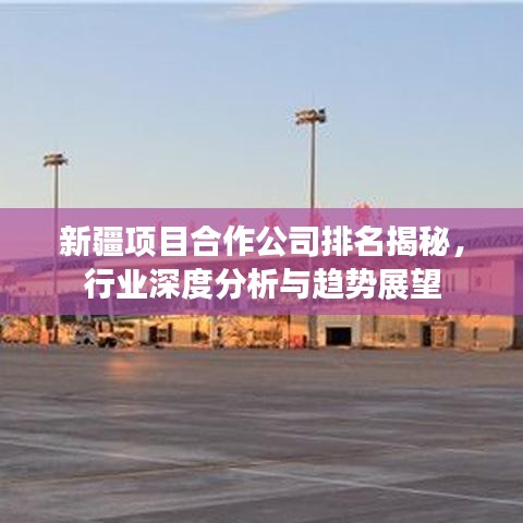 新疆项目合作公司排名揭秘，行业深度分析与趋势展望